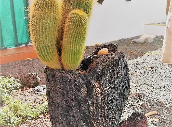 Budda House Puerto Del Carmen. Apartment Tias