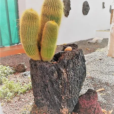 Budda House Puerto Del Carmen. Apartman Tías