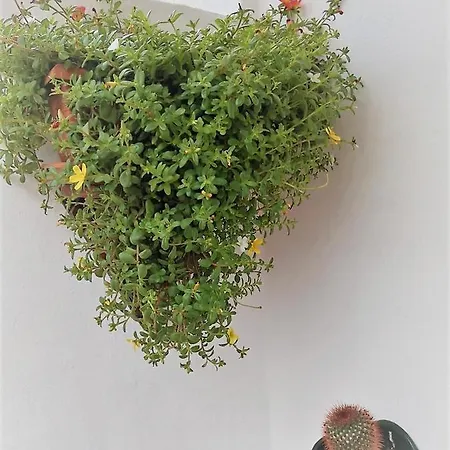 Appartement Budda House Puerto Del Carmen. Tías