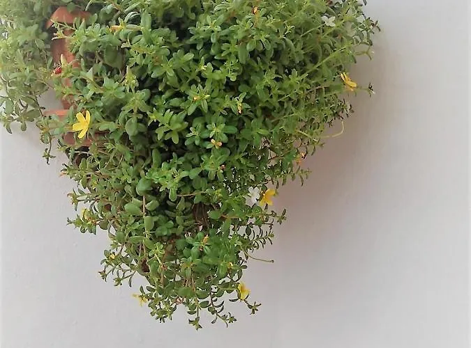 아파트 Budda House Puerto Del Carmen. 티아즈