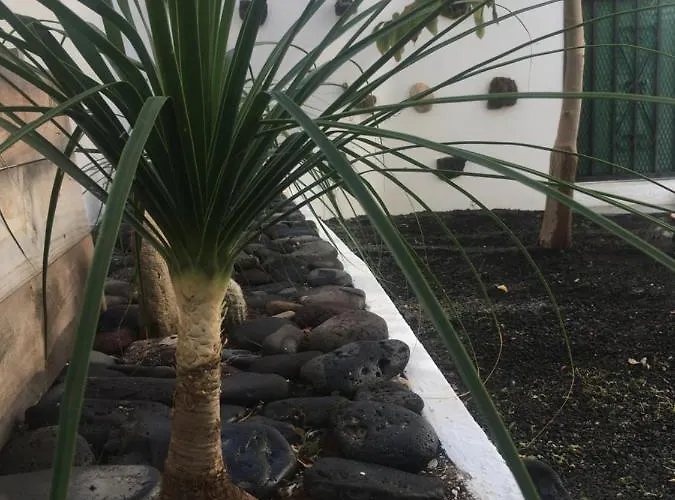 Budda House Puerto Del Carmen. 티아즈